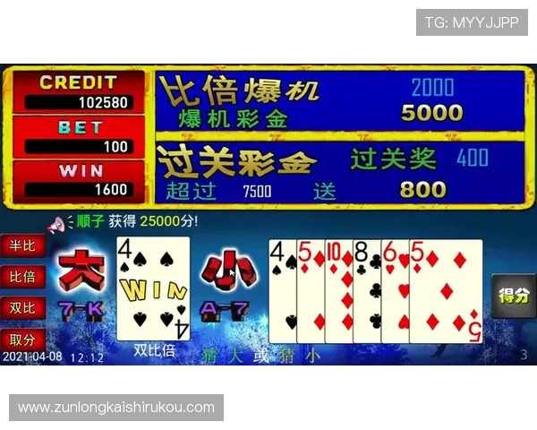 揭秘尊龙凯时国际版中的独特功能，提升您的游戏乐趣与收益