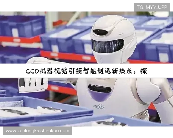 d88尊龙ag手机版优惠活动不断，丰富福利让玩家享受更多实惠与精彩游戏体验