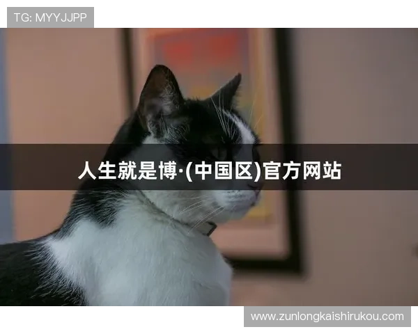 尊龙人生就是博学：探索人生智慧与成功的深度启示