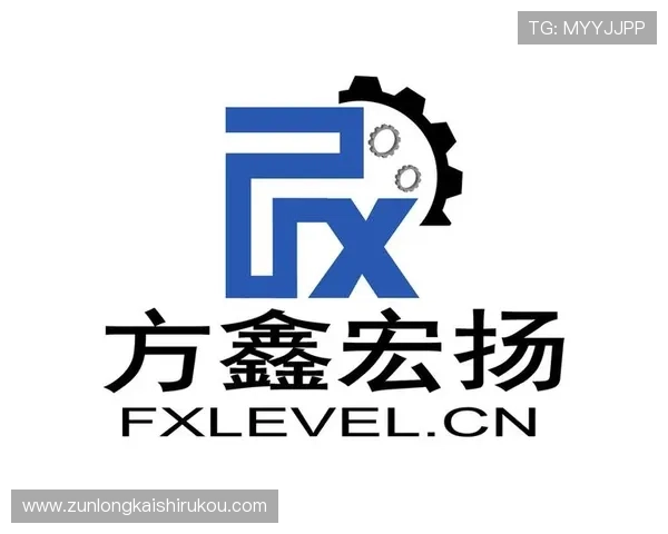 尊龙集团登录入口网址查询指南帮助玩家快速找到官方登录通道