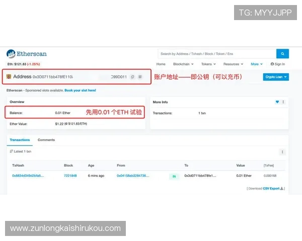 龙尊娱乐场充值成功后如何查看余额和交易记录
